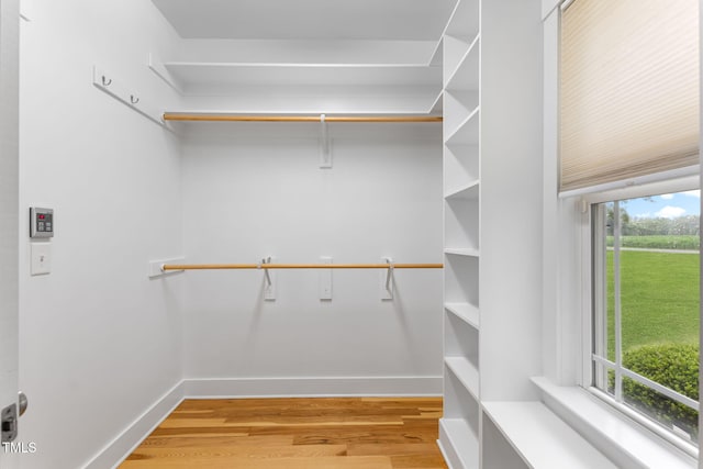 532 Joe Collins Rd, Lillington, NC 27546 - walk in closet with light wood-style floors
