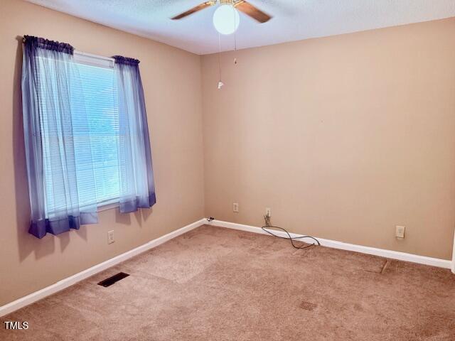 120 W Front St, Oxford, NC 27565 - carpeted empty room featuring plenty of natural light and a ceiling fan