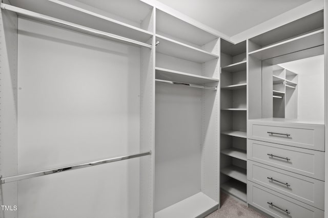 7 Faircroft Ct, Durham, NC 27703 - walk in closet with light carpet
