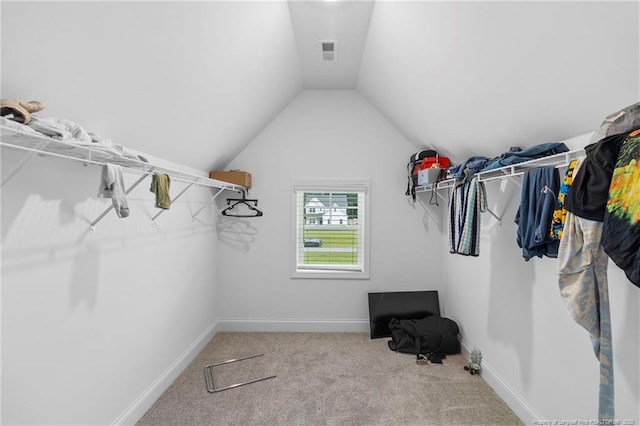 6939 Running Fox Rd, Hope Mills, NC 28348 - spacious closet featuring vaulted ceiling and carpet flooring