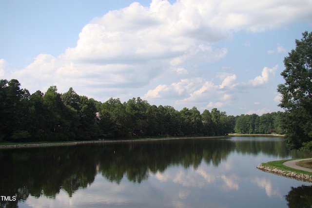 101 Turnberry Ln, Cary, NC 27511 - water view featuring a forest
