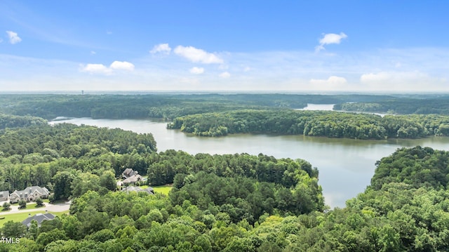 901 Tamaras Cir, Wake Forest, NC 27587 - drone / aerial view of a forest and a large body of water