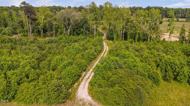 1390 Nick Coley Rd, Whitakers, NC 27891 - photo 5