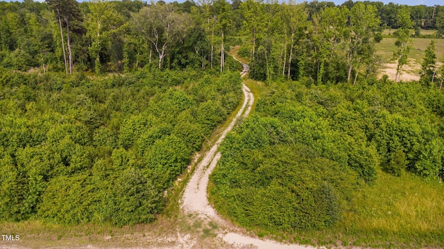 1390 Nick Coley Rd, Whitakers, NC 27891 - photo 6