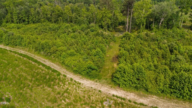 1390 Nick Coley Rd, Whitakers, NC 27891 - photo 7