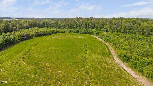 1390 Nick Coley Rd, Whitakers, NC 27891 - photo 8