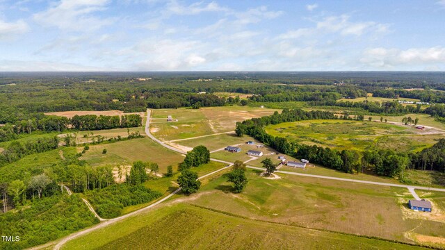 1390 Nick Coley Rd, Whitakers, NC 27891 - photo 20