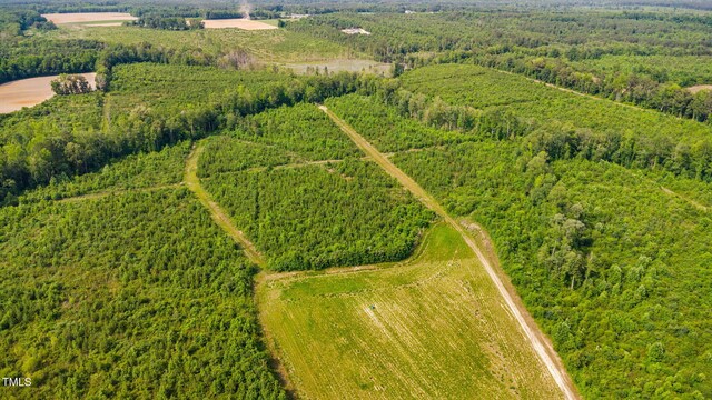 1390 Nick Coley Rd, Whitakers, NC 27891 - photo 21