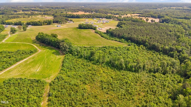 1390 Nick Coley Rd, Whitakers, NC 27891 - photo 24