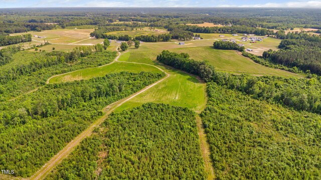 1390 Nick Coley Rd, Whitakers, NC 27891 - photo 26