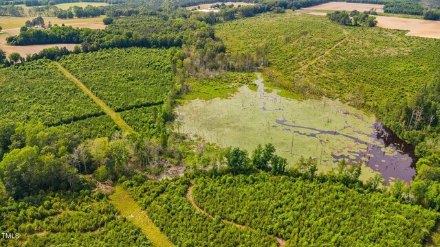 1390 Nick Coley Rd, Whitakers, NC 27891 - photo 30