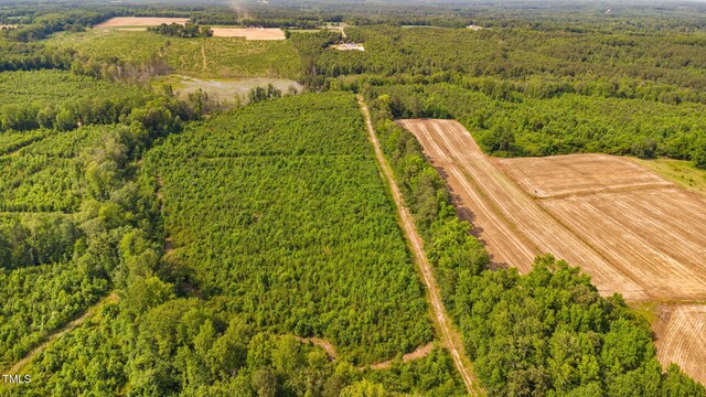 1390 Nick Coley Rd, Whitakers, NC 27891 - photo 32