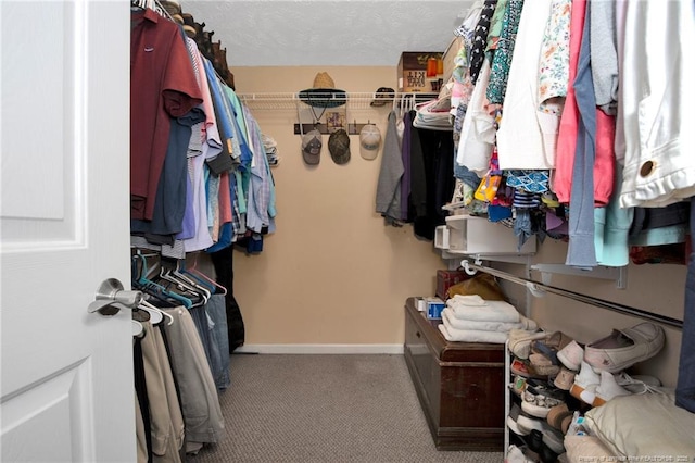 420 Gibson Dr, Raeford, NC 28376 - walk in closet featuring carpet flooring