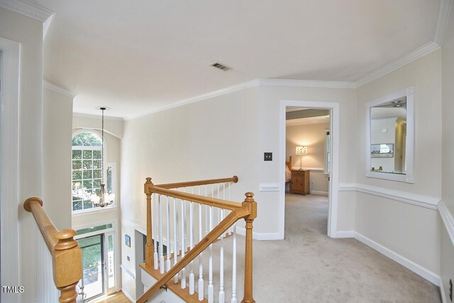 5328 Willow Cry Ln, Raleigh, NC 27613 - hall with an upstairs landing, light carpet, and ornamental molding