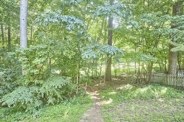 5328 Willow Cry Ln, Raleigh, NC 27613 - view of woods