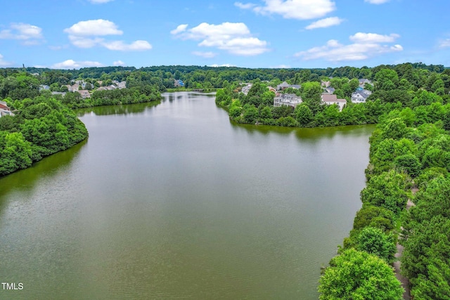 734 Portstewart Dr, Cary, NC 27519 - water view featuring a heavily wooded area