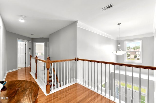 626 Toledo Ct, Rolesville, NC 27571 - photo 25