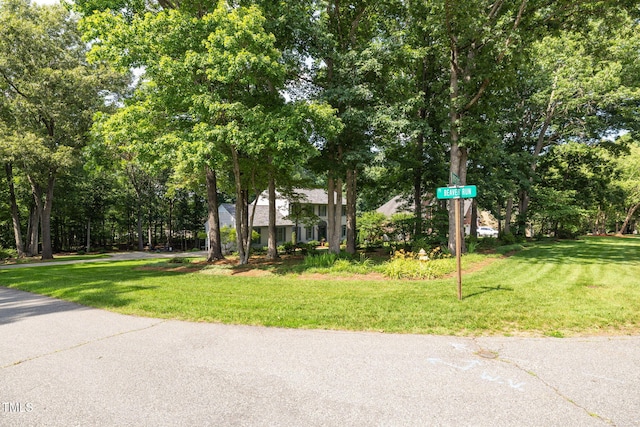 2101 River Chase Dr, Eden, NC 27288 - photo 4