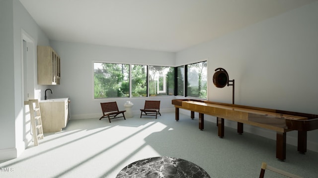 2344 Ballywater Lea Way, Wake Forest, NC 27587 - rec room featuring healthy amount of natural light and light carpet
