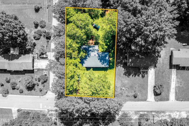 452 N Main St, Wendell, NC 27591 - drone / aerial view