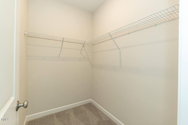 510 Branch St, Rocky Mount, NC 27801 - walk in closet with carpet floors