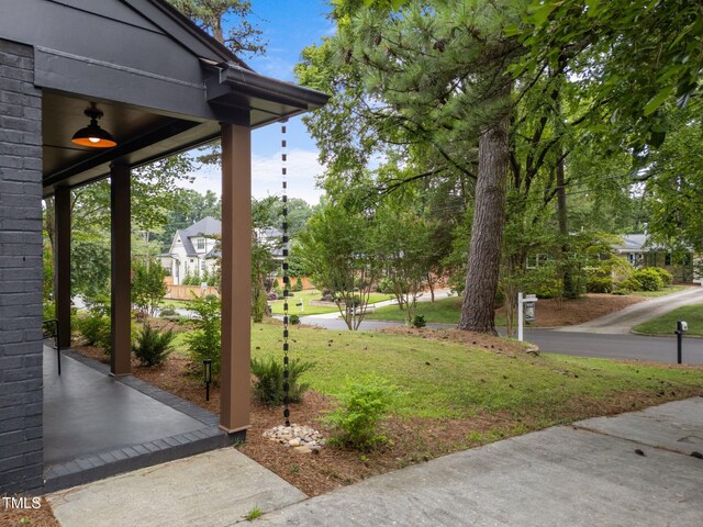 4812 Latimer Rd, Raleigh, NC 27609 - view of grassy yard