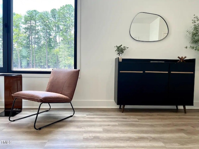 1106 Nova St, Durham, NC 27713 - living area with light wood-type flooring