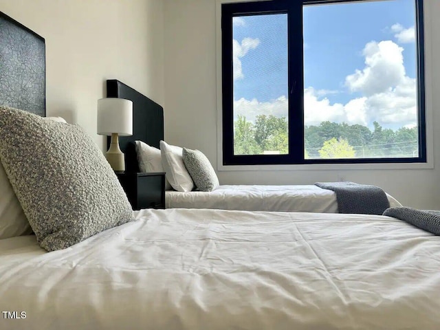 1106 Nova St, Durham, NC 27713 - bedroom featuring multiple windows