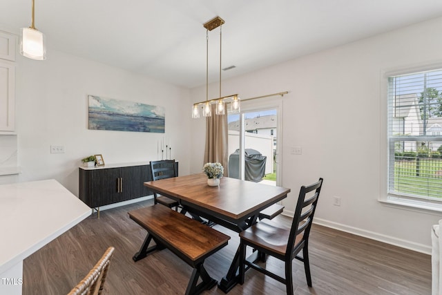 3194 Retama Run, New Hill, NC 27562 - dining room with plenty of natural light and dark wood-style flooring