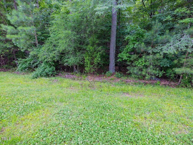459 Windfall Creek Dr, Chapel Hill, NC 27517 - photo 15
