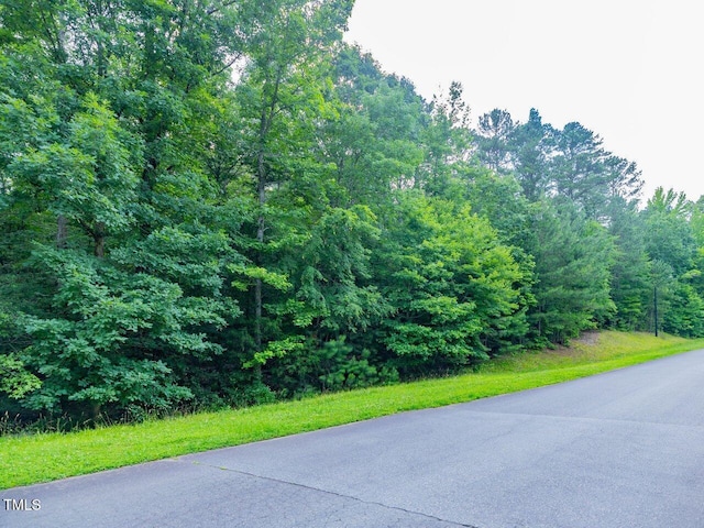 459 Windfall Creek Dr, Chapel Hill, NC 27517 - photo 4