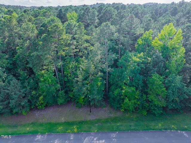 459 Windfall Creek Dr, Chapel Hill, NC 27517 - photo 14
