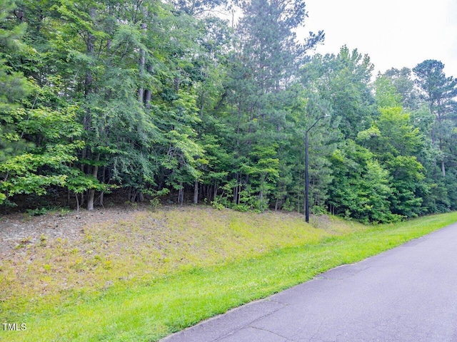 459 Windfall Creek Dr, Chapel Hill, NC 27517 - photo 19