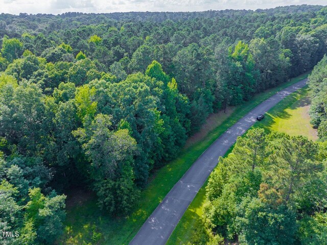 459 Windfall Creek Dr, Chapel Hill, NC 27517 - photo 8