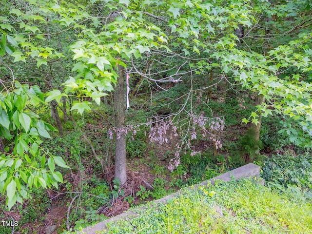 459 Windfall Creek Dr, Chapel Hill, NC 27517 - photo 16
