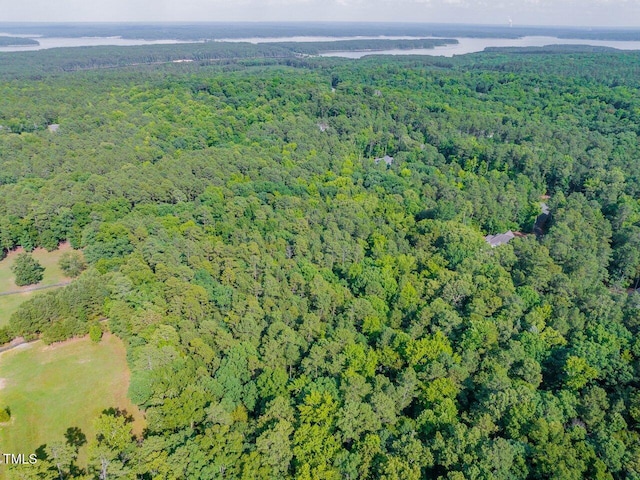 459 Windfall Creek Dr, Chapel Hill, NC 27517 - photo 17