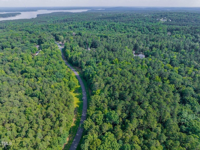 459 Windfall Creek Dr, Chapel Hill, NC 27517 - photo 18