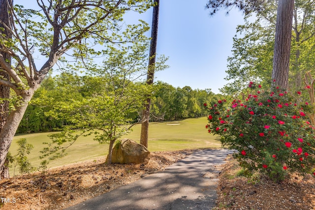 306 Neuse Ridge Dr, Clayton, NC 27527 - view of community with a lawn, view of golf course, and view of wooded area