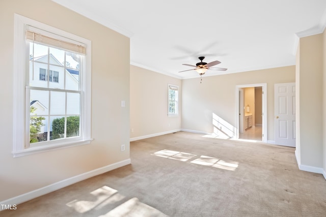 306 Neuse Ridge Dr, Clayton, NC 27527 - carpeted empty room with crown molding and ceiling fan