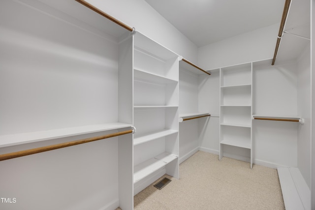 306 Neuse Ridge Dr, Clayton, NC 27527 - walk in closet with light colored carpet