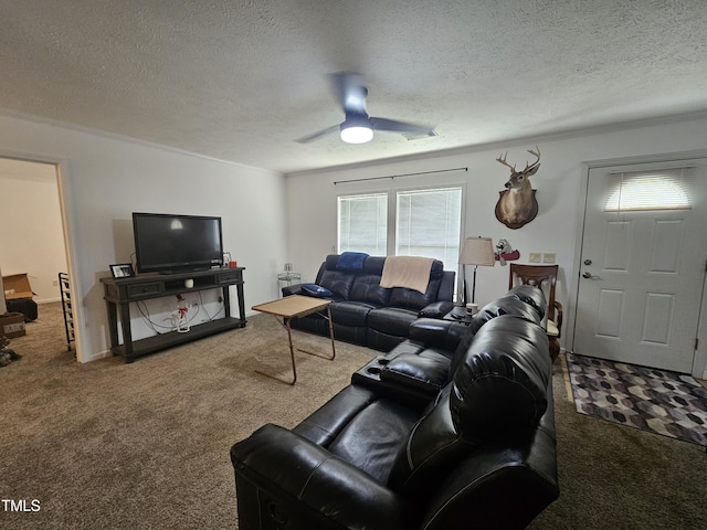 4683 Peace Forest Ln, Climax, NC 27233 - photo 14