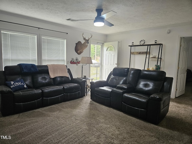4683 Peace Forest Ln, Climax, NC 27233 - photo 25