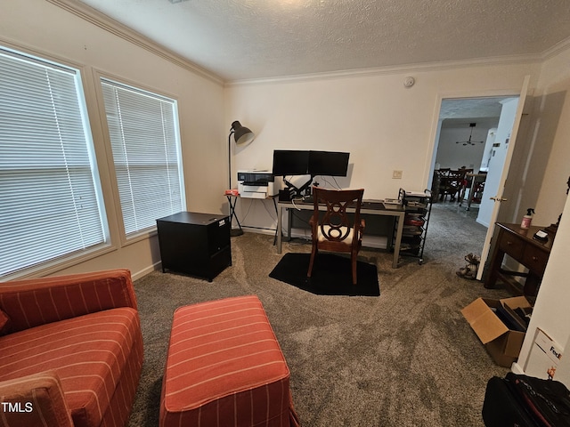 4683 Peace Forest Ln, Climax, NC 27233 - photo 27