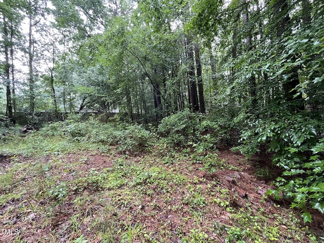 5009 Holly Brook Dr, Apex, NC 27539