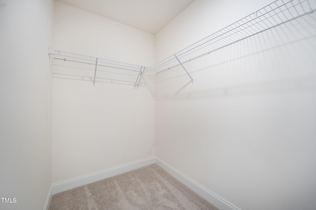 80 Nailsworth St, Angier, NC 27501 - spacious closet featuring light colored carpet