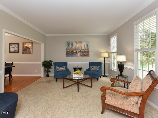 1005 Fairfax Woods Dr, Apex, NC 27502 - sitting room with crown molding, plenty of natural light, and carpet floors