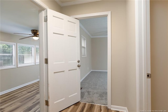 106 N 3rd St, Maxton, NC 28364 - corridor featuring ornamental molding and wood finished floors