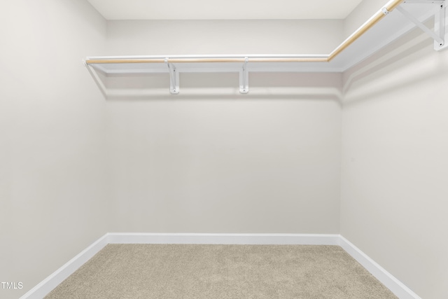 3504 Regent Pines Dr, New Hill, NC 27562 - walk in closet featuring carpet floors