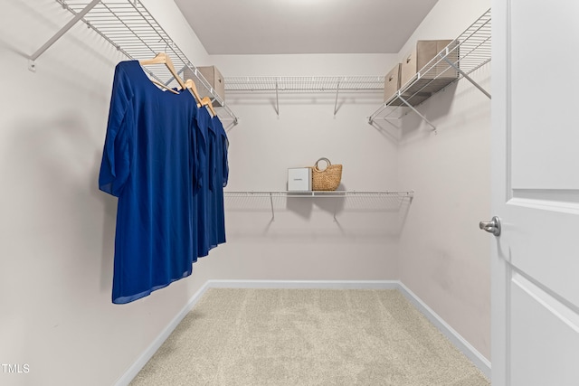 3504 Regent Pines Dr, New Hill, NC 27562 - spacious closet with carpet