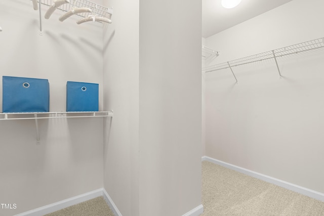 3504 Regent Pines Dr, New Hill, NC 27562 - spacious closet with carpet floors